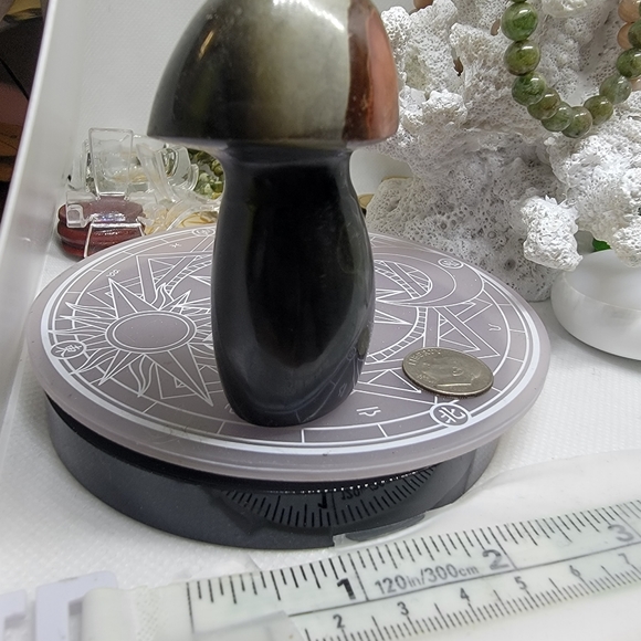 OCEAN JASPER MUSHY - Picture 2 of 3